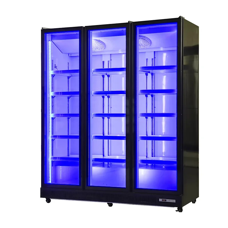 Refrigerated Display Case - Büyük Kapasiteli Ticari Dik Tip Buzdolabı